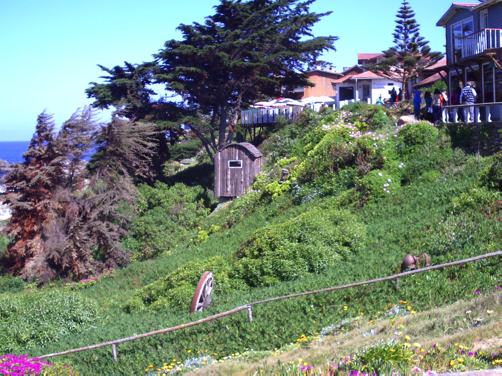 Isla Negra