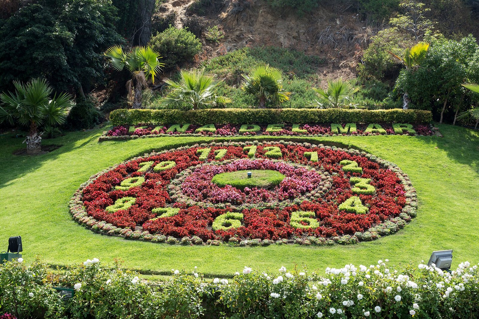 Reloj de Flores, Viña del Mar