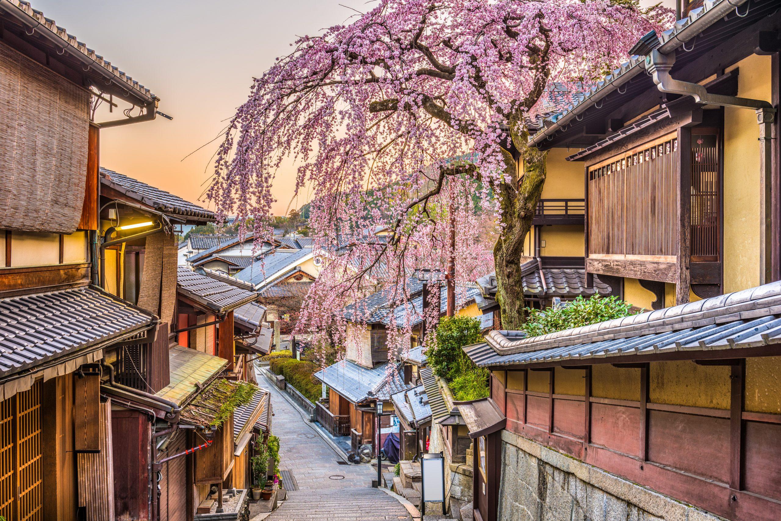 Japón 2025